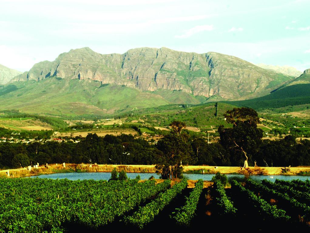 Cana Vineyard Guesthouse Paarl Exterior photo