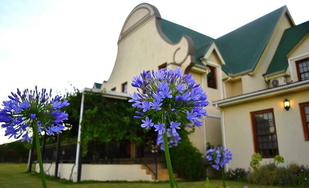Cana Vineyard Guesthouse Paarl Exterior photo