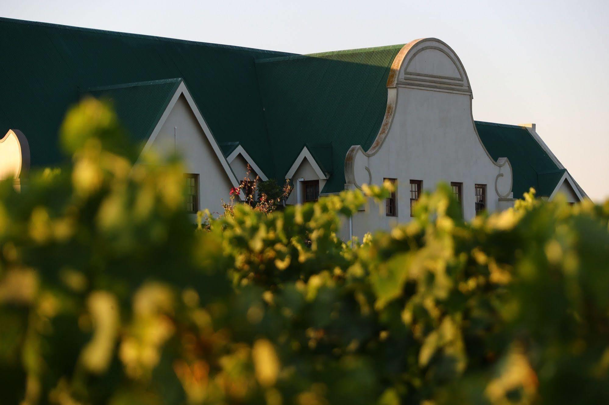 Cana Vineyard Guesthouse Paarl Exterior photo